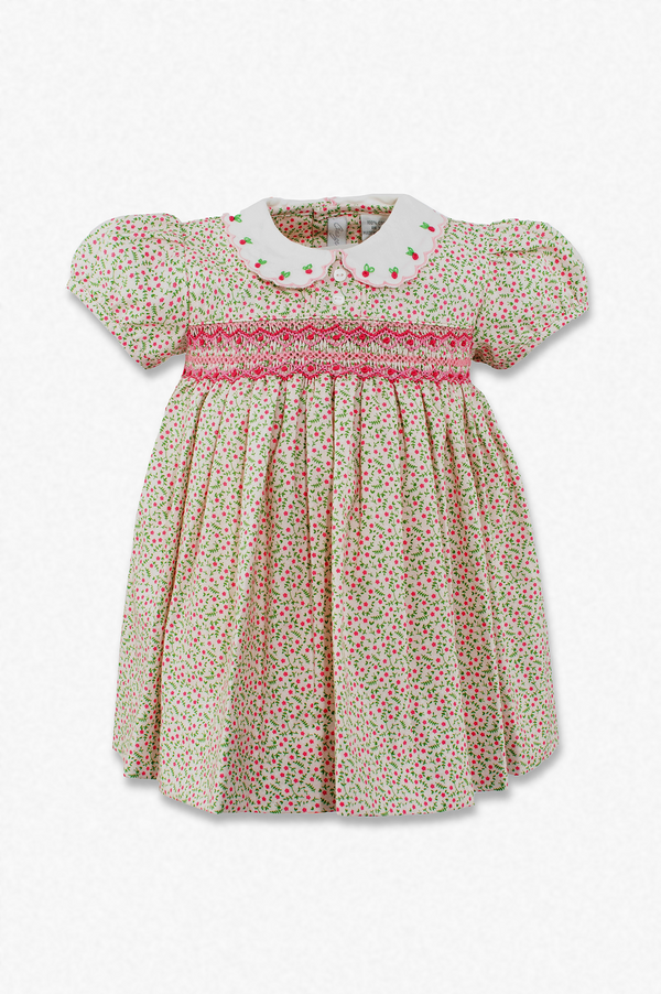 20221-Tan Floral Smocked Baby Girl Dress with Panty
