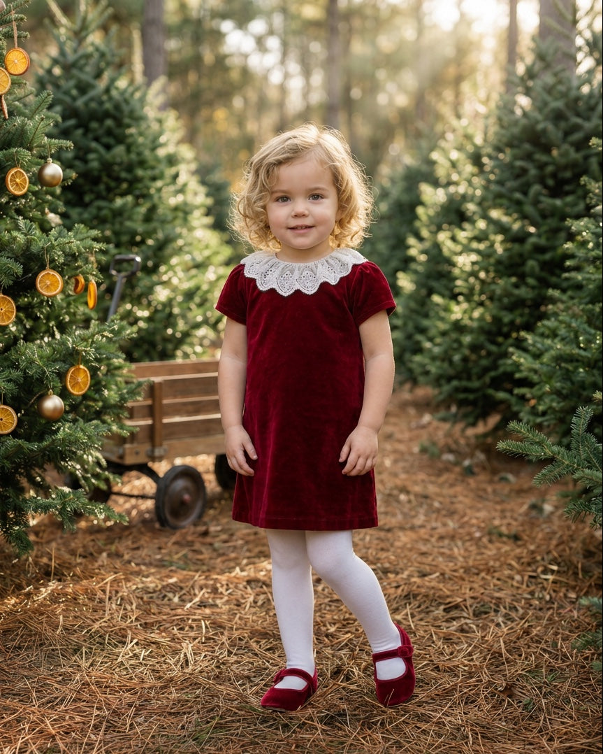 20388 Classic Velvet Dress with Lace Collar Red