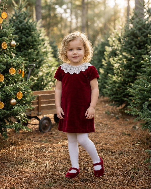 20388 Classic Velvet Dress with Lace Collar Red