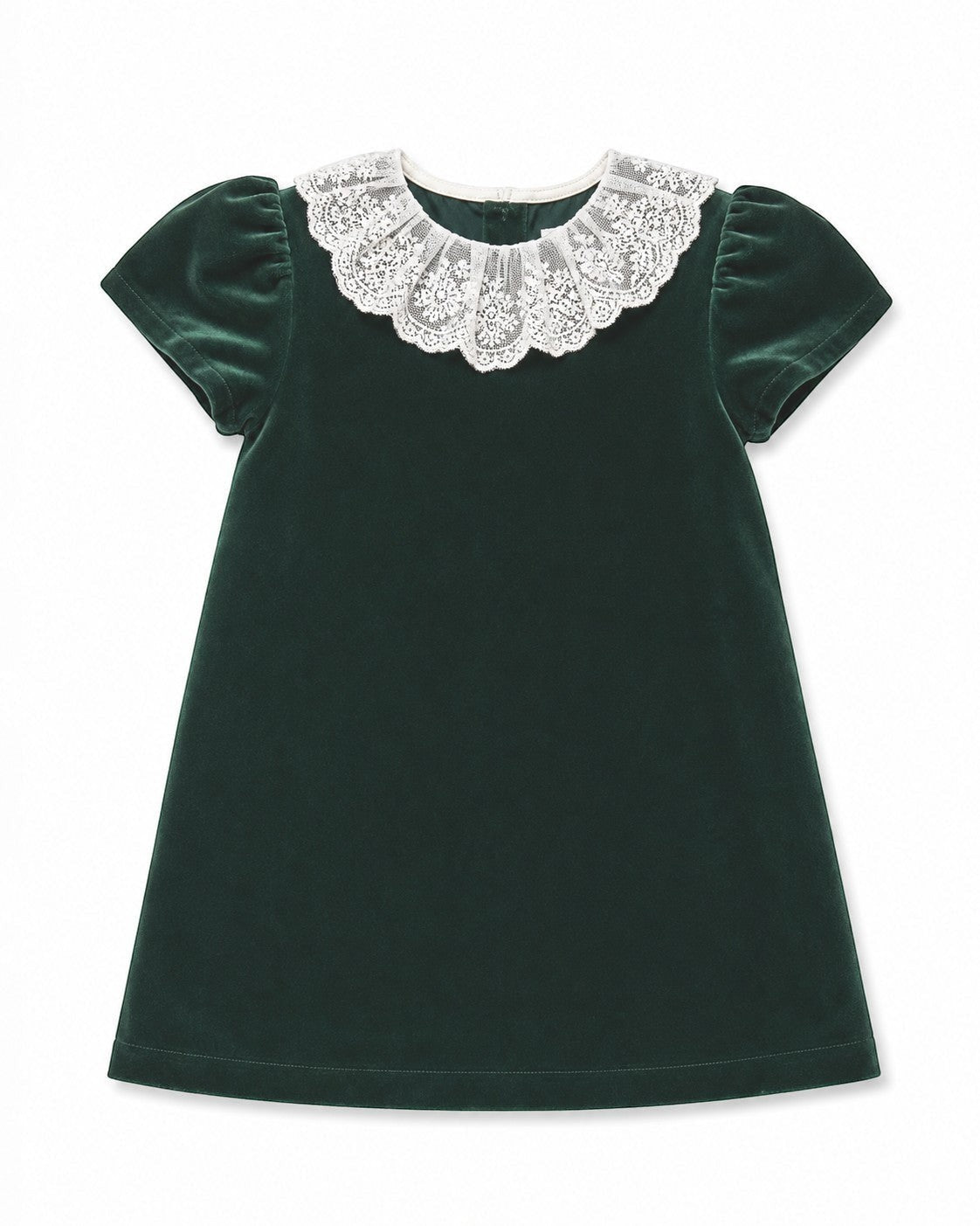 20390 Classic Velvet Dress with Lace Collar Green