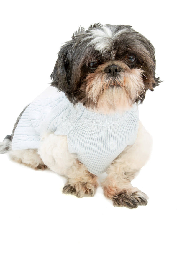 Julius Berger Matching Dog Sweater - Imagewear