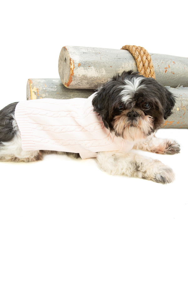 Julius Berger Matching Dog Sweater Pink 3 - Imagewear