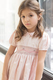 Wholesale Elegant Taffeta Pink Baby & Toddler Girl Dress 6 - Imagewear